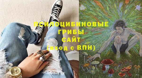 первитин Надым
