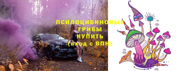 прущие крисы Нефтекумск