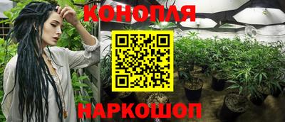spice Волжск