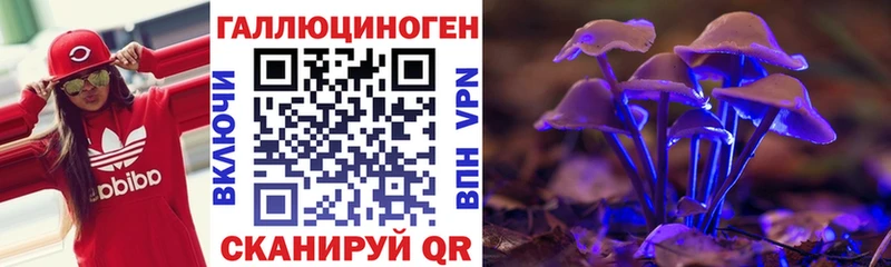 Псилоцибиновые грибы Psilocybine cubensis  наркошоп  Шуя 