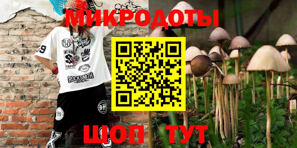 Шуя  Псилоцибиновые грибы Psilocybine cubensis  Вход с VPN 