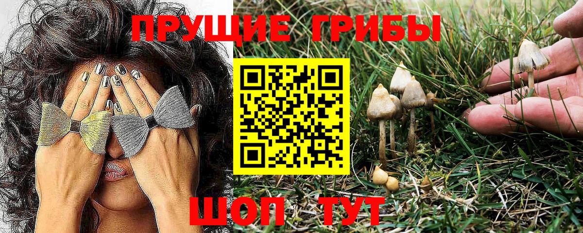 Псилоцибиновые грибы Magic Shrooms Шуя