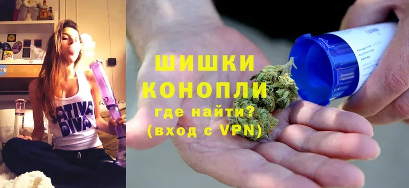 Бошки Шишки OG Kush  MEGA ссылка  Шуя 