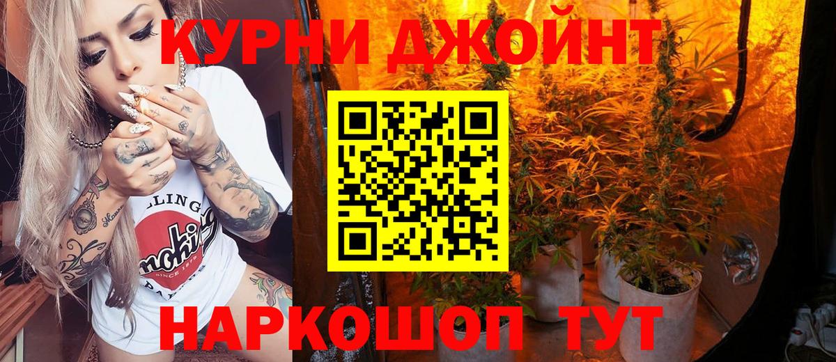 Бошки Шишки планчик Шуя